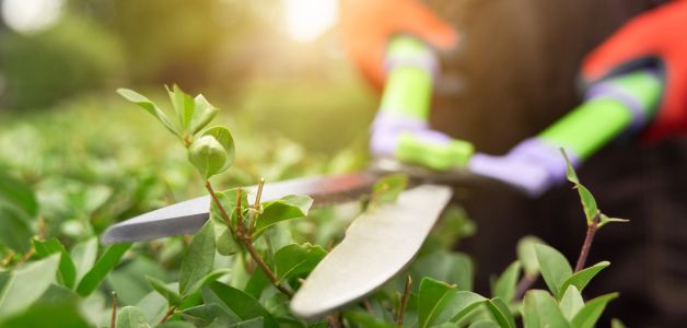 Découvrir acj services d'entretien pour l'espaces verts en Hauts-de-France