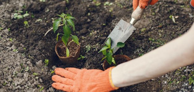 Découvrir acj services de jardinage en Hauts-de-France