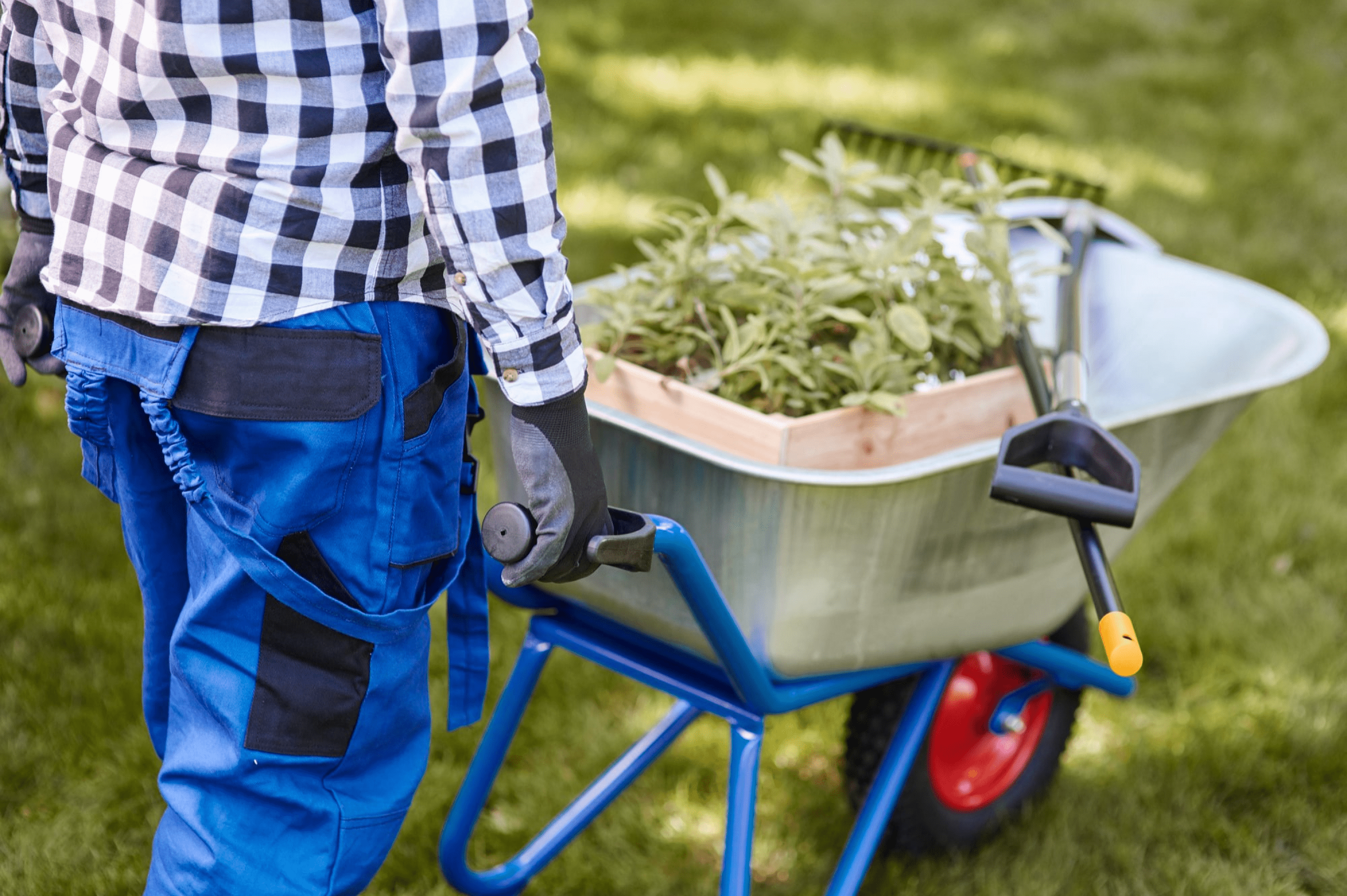 Service de jardinage et d'espaces verts