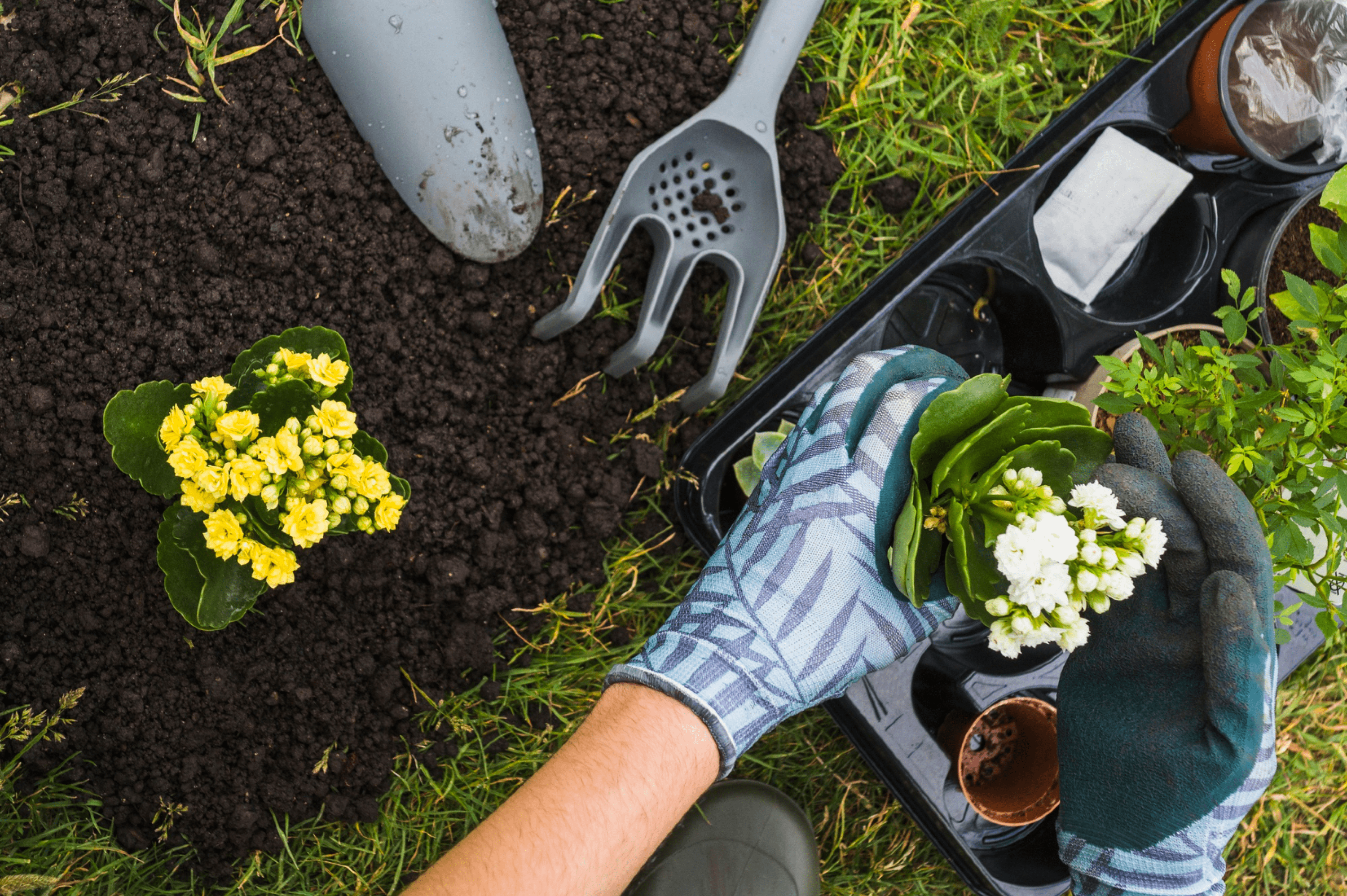 Service de jardinage et d'espaces verts