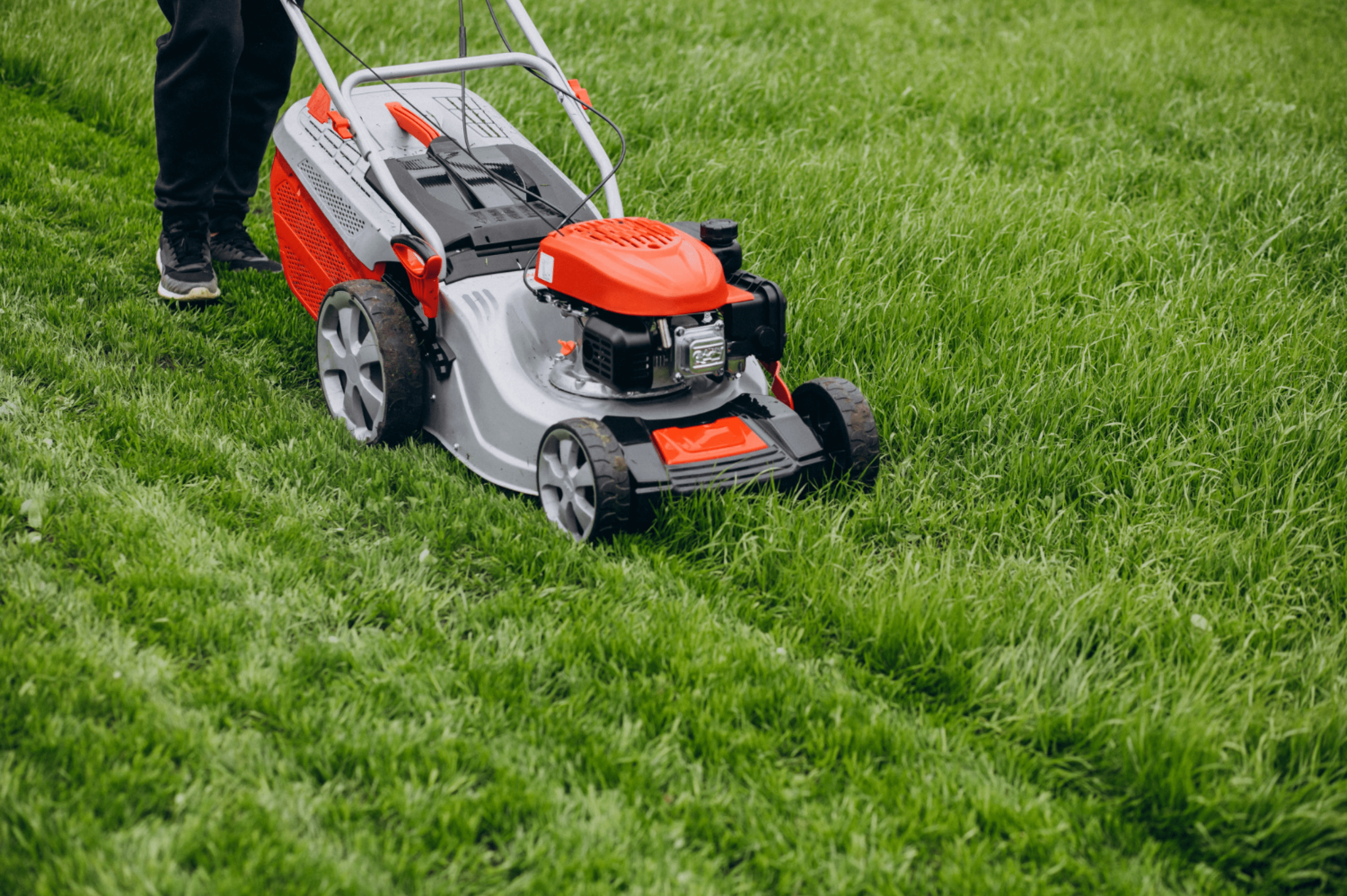 Service de jardinage et d'espaces verts