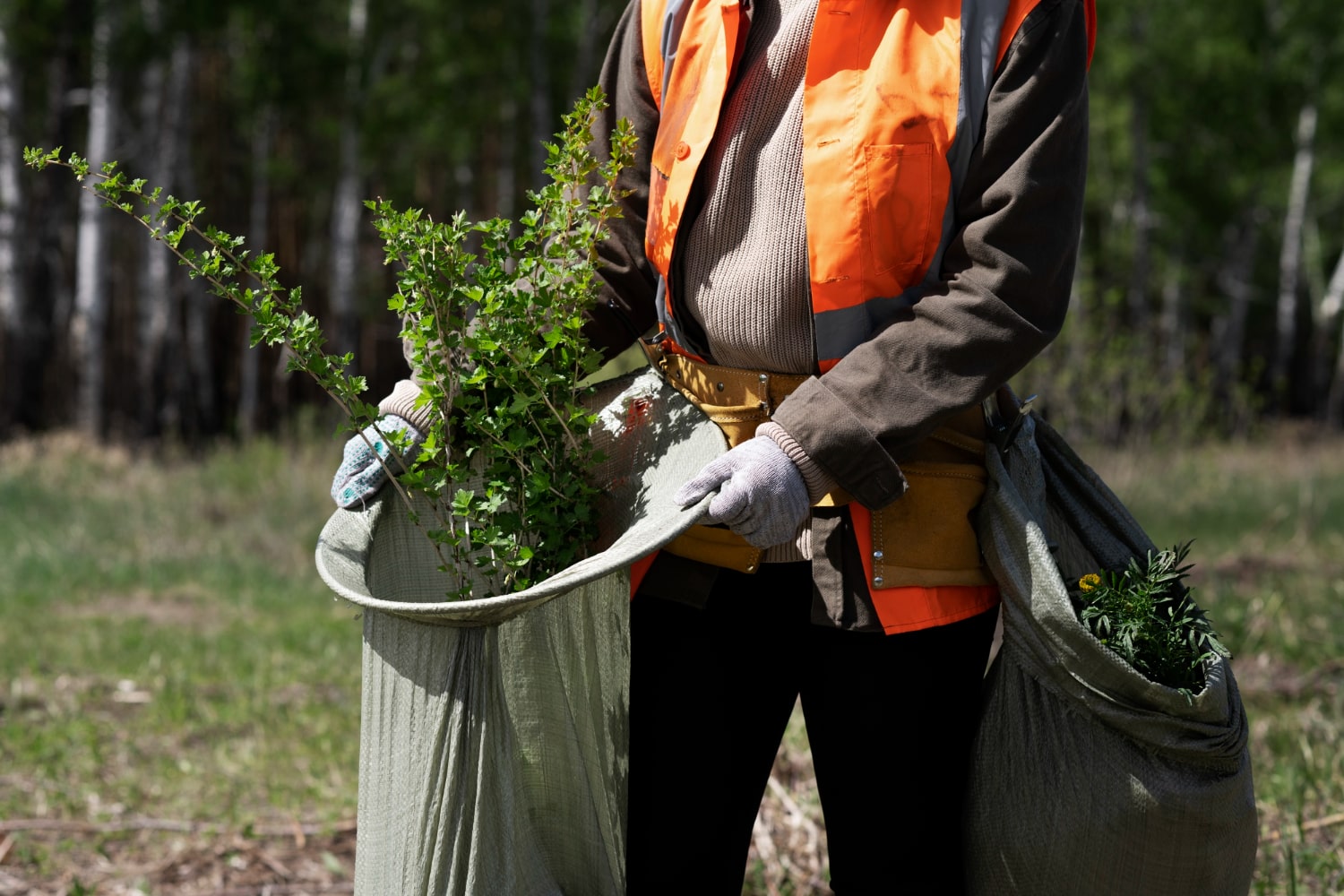 Service d'entretien des espaces verts