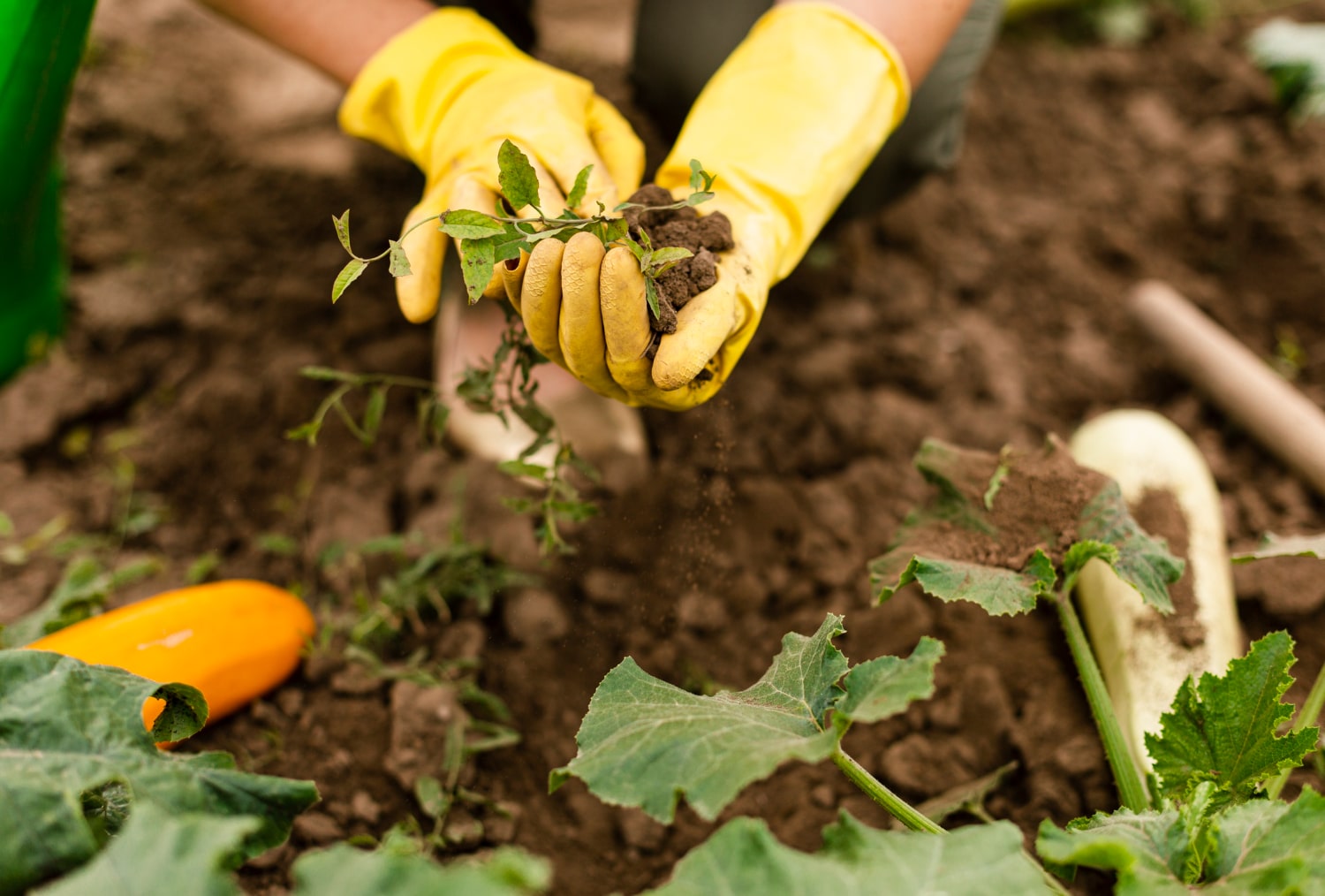 Service d'entretien des espaces verts