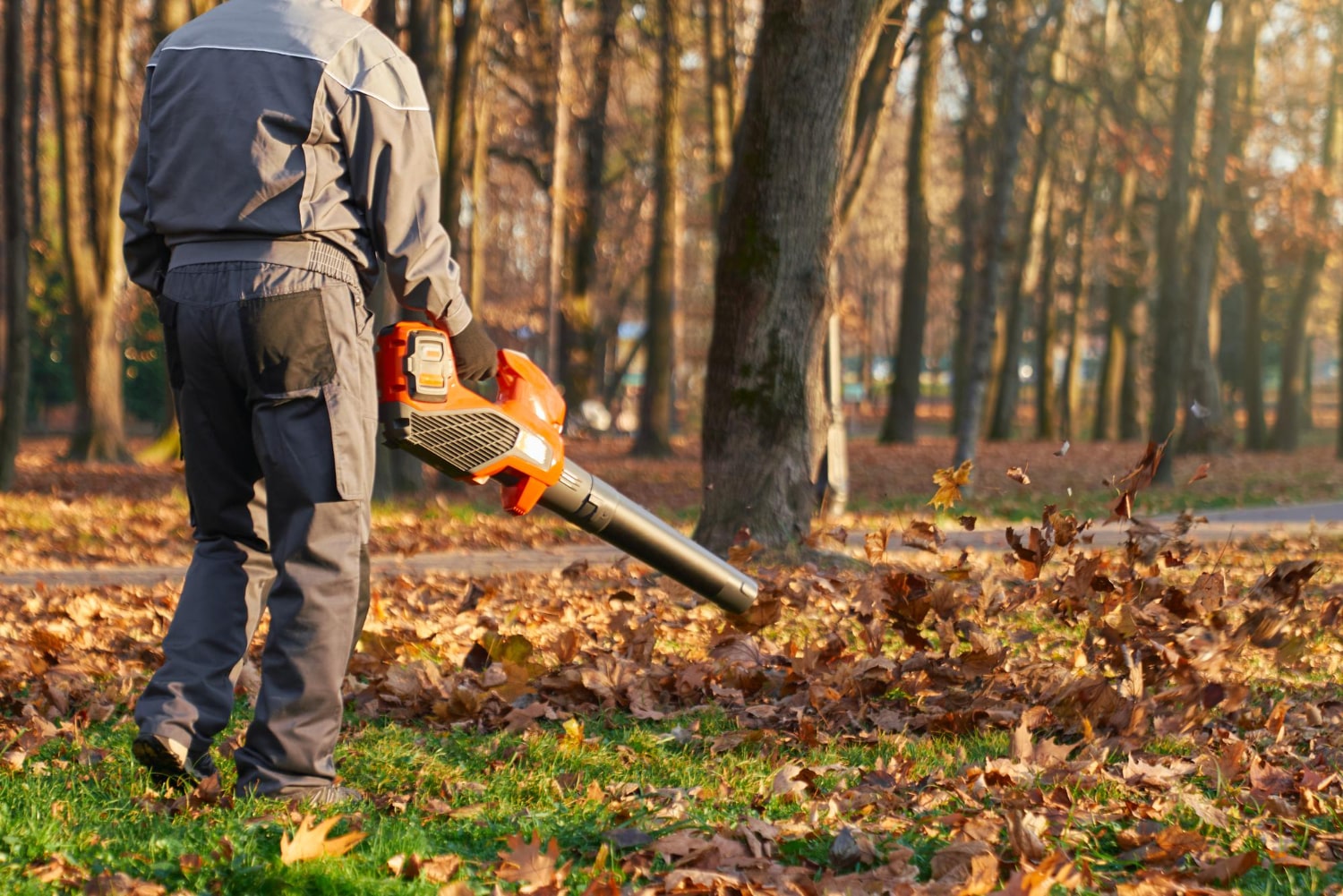 Service d'entretien des espaces verts