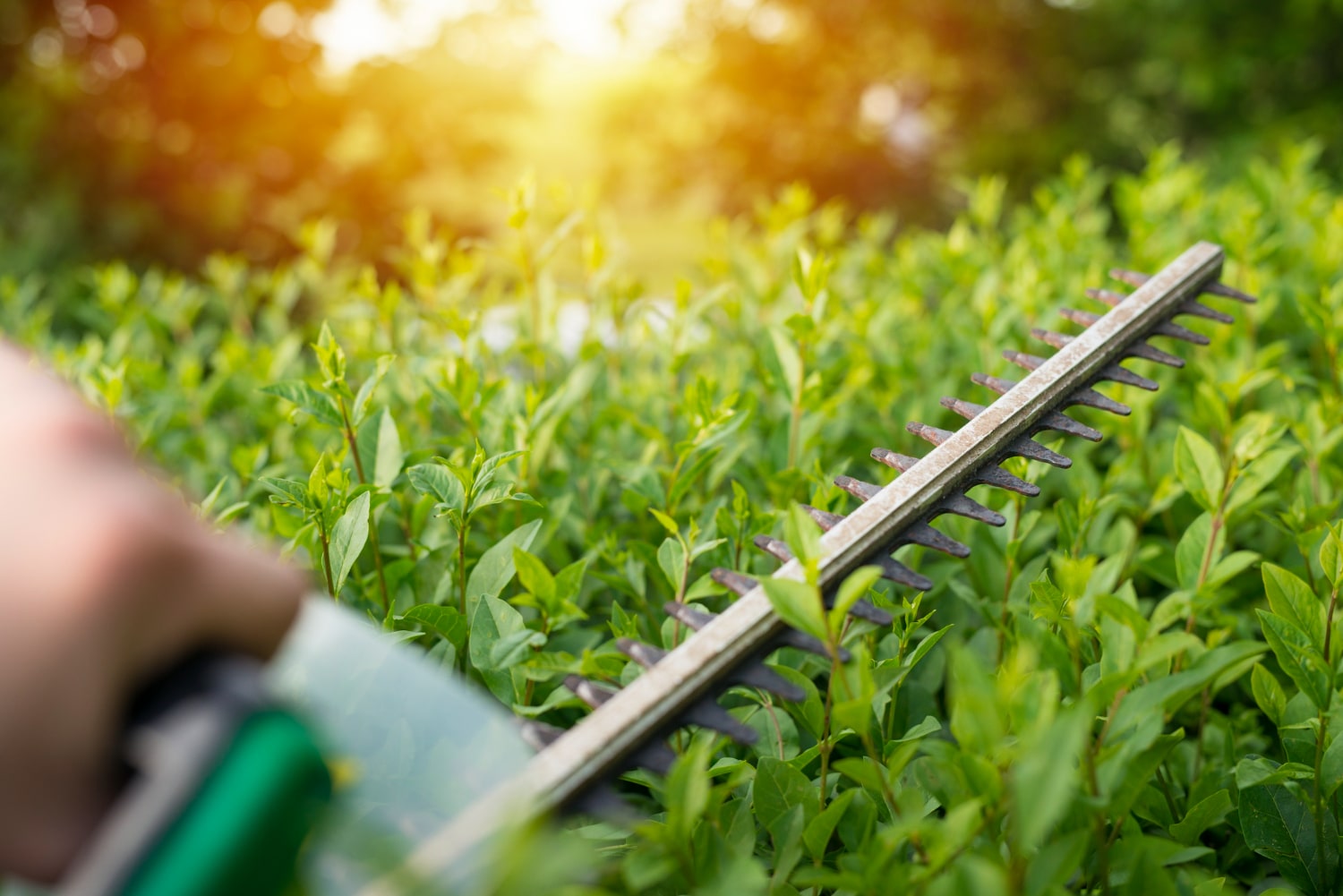 Service d'entretien des espaces verts